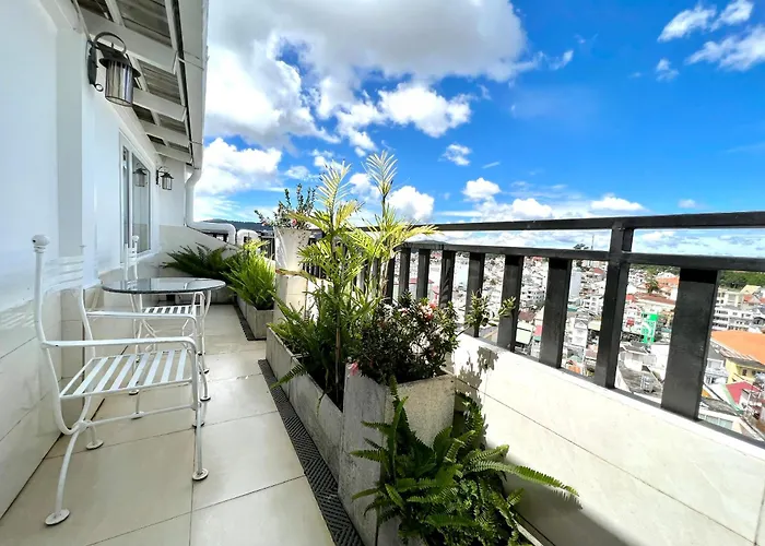 Tulip Hotel 3